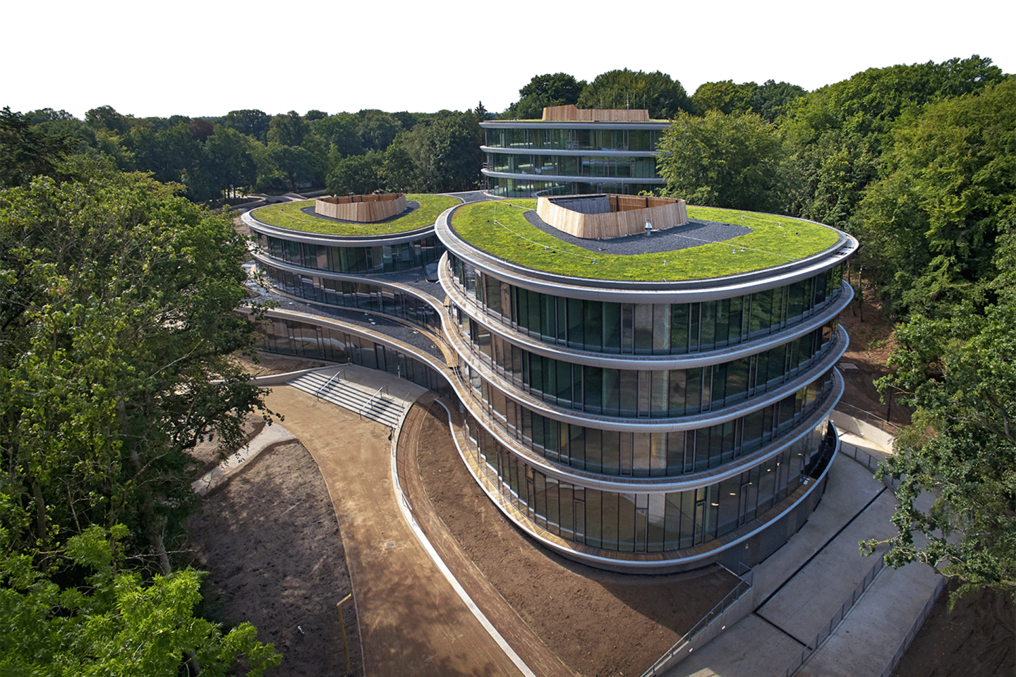 Real buildings with planted green roofs surrounded by mature trees