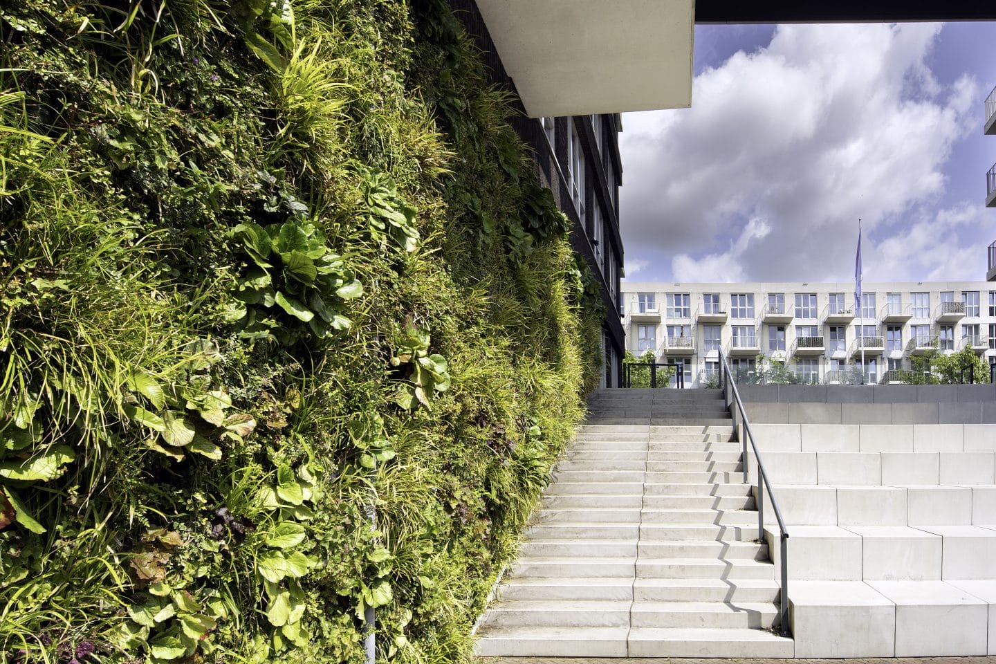 A real Sempergreen living wall with varied plants beside exterior steps