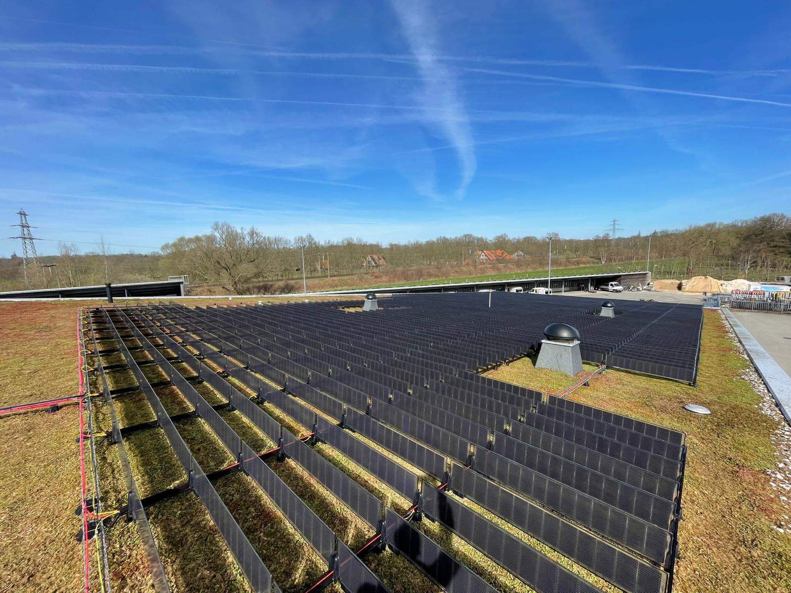 Original Over Easy Solar photograph of xM-3 QUATTRO-256S among green roof planting